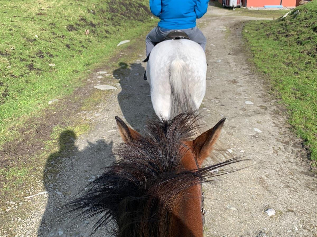 Calveys Equestrian Centre景点图片