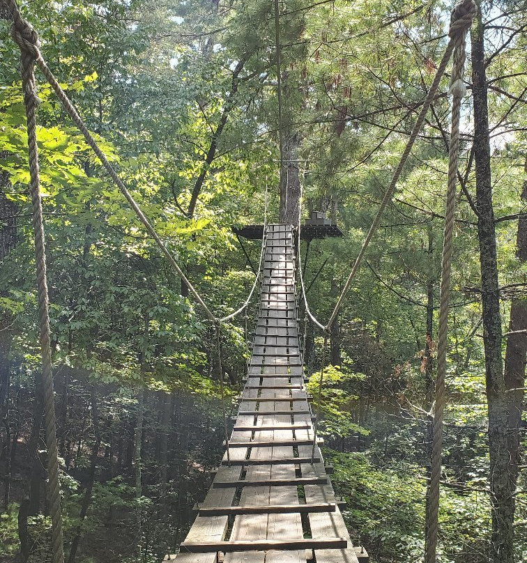 Zipline Canopy Tours of Blue Ridge景点图片