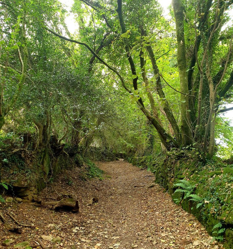 St Breward to Lank Circular Walk-St. Breward必去景点