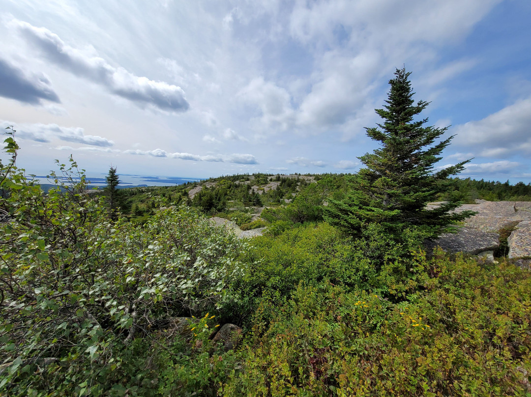 Cadillac Mountain North Ridge Trail景点图片