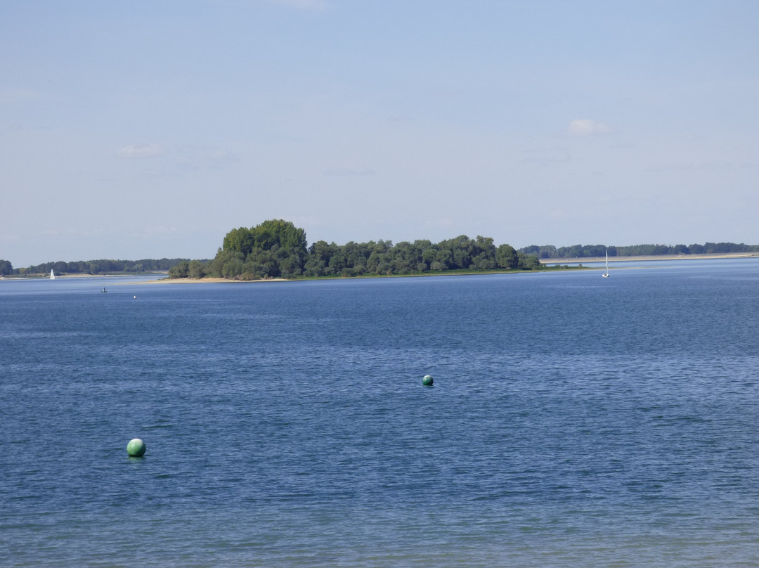 Lac du Der-Chantecoq-Giffaumont-Champaubert必去景点