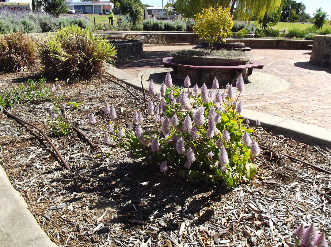 Kershaw Gardens-罗克汉普顿必去景点