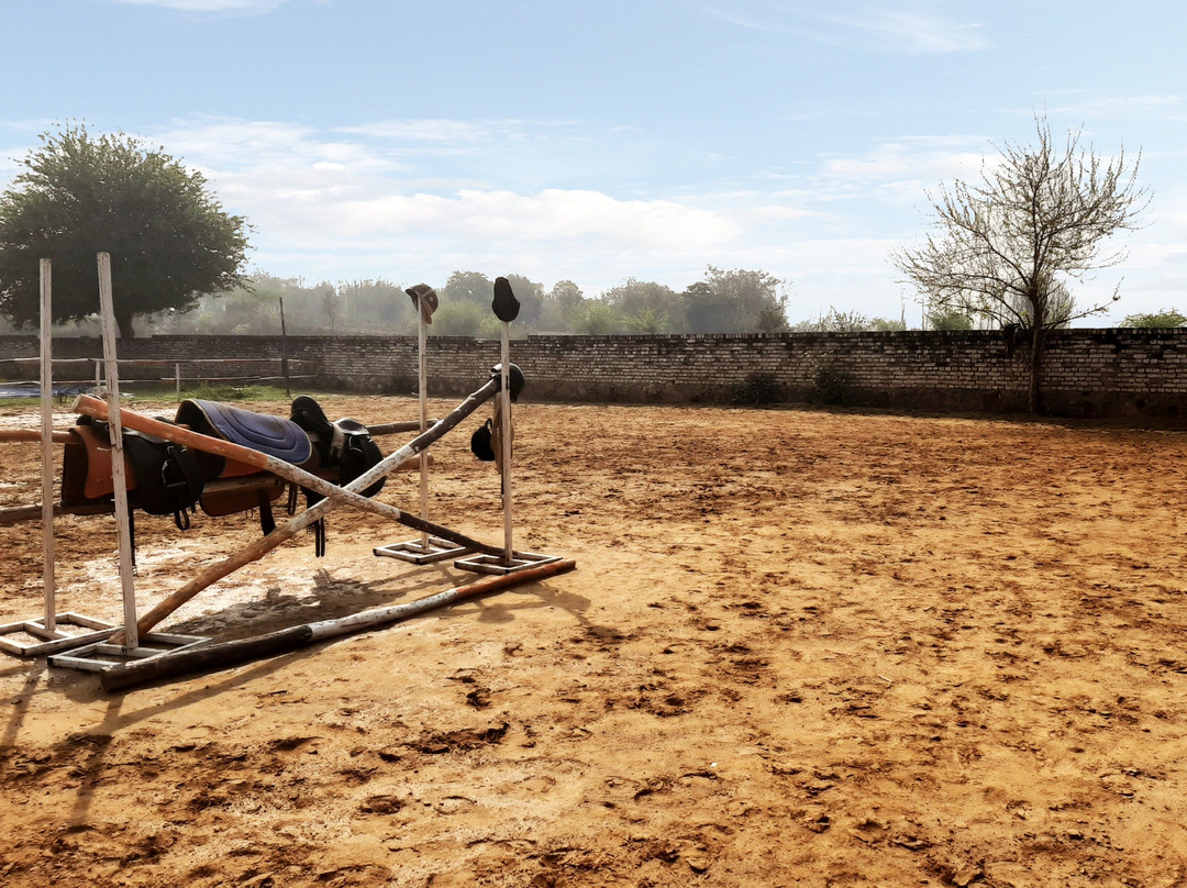 Duke Horse Riding Club-古尔冈必去景点