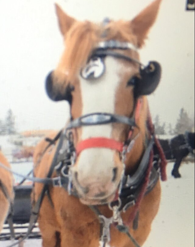 传统农场-红鹿市必去景点