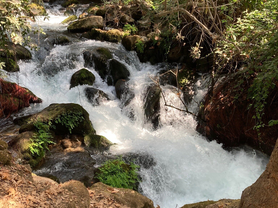 Banias Waterfall-Qiryat Shemona必去景点