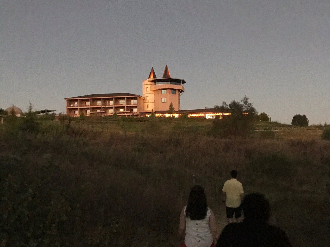 Bakucha Vineyard Hotel主图