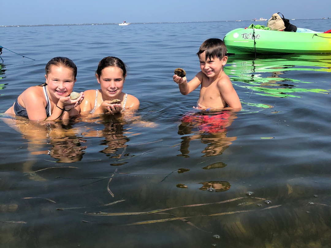 Happy Ours Kayak and Bike Outpost-Port Saint Joe必去景点