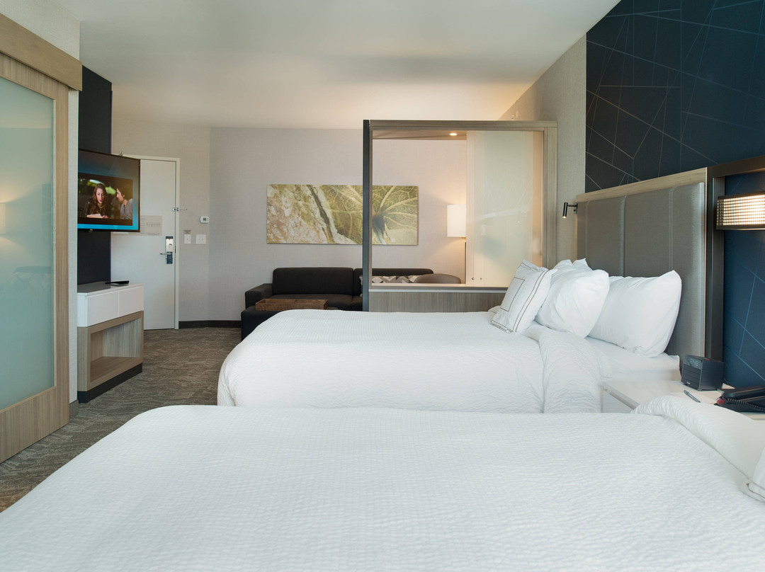 SpringHill Suites by Marriott Austin Cedar Park主图