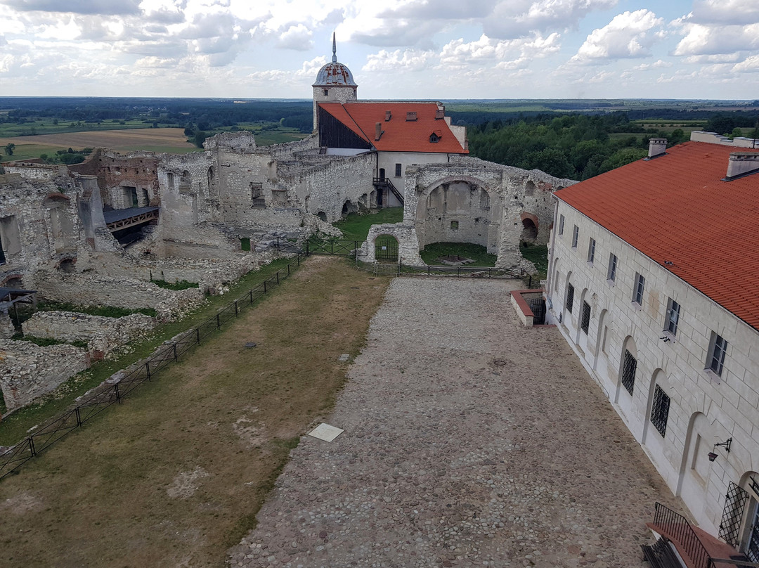 Janowiec Castle景点图片