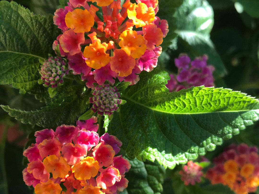 A Casa di Angela主图