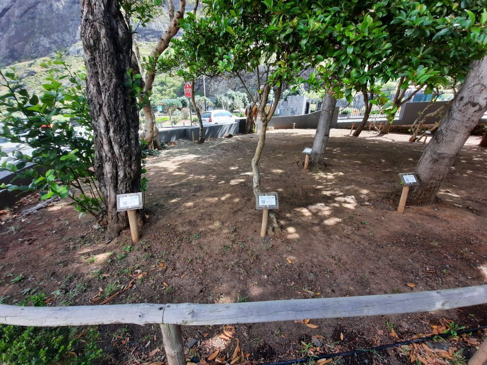 Jardim das Plantas Indígenas da Madeira-Sao Vicente必去景点