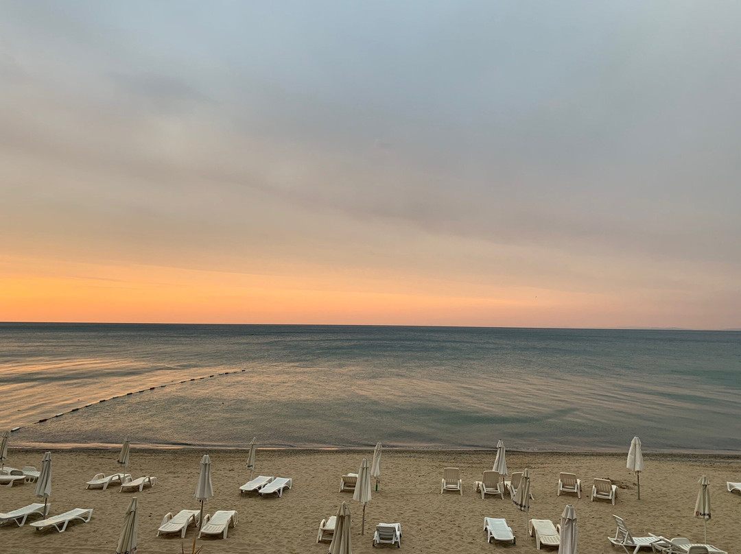 Tiva del Mar Beach主图