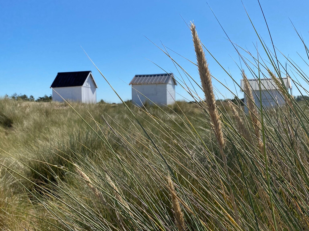 Les Cabines de Gouville-sur-Mer-Gouville-sur-Mer必去景点