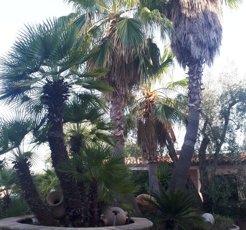 Villa Ulimare Family Residence主图