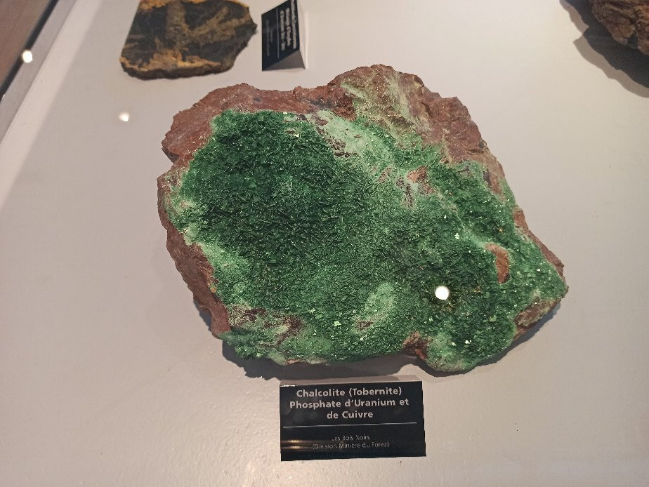 Musee de Mineralogie et de Petrographie景点图片