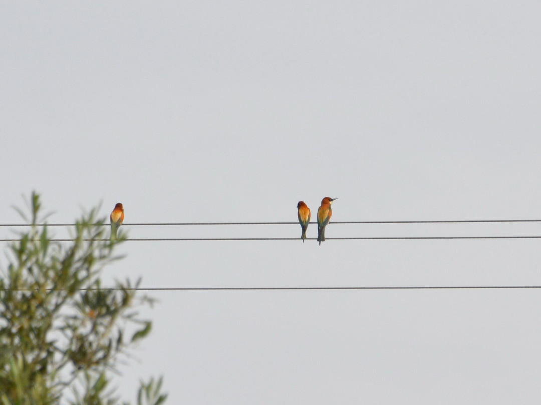 Monastery Of The Apostle Philip
