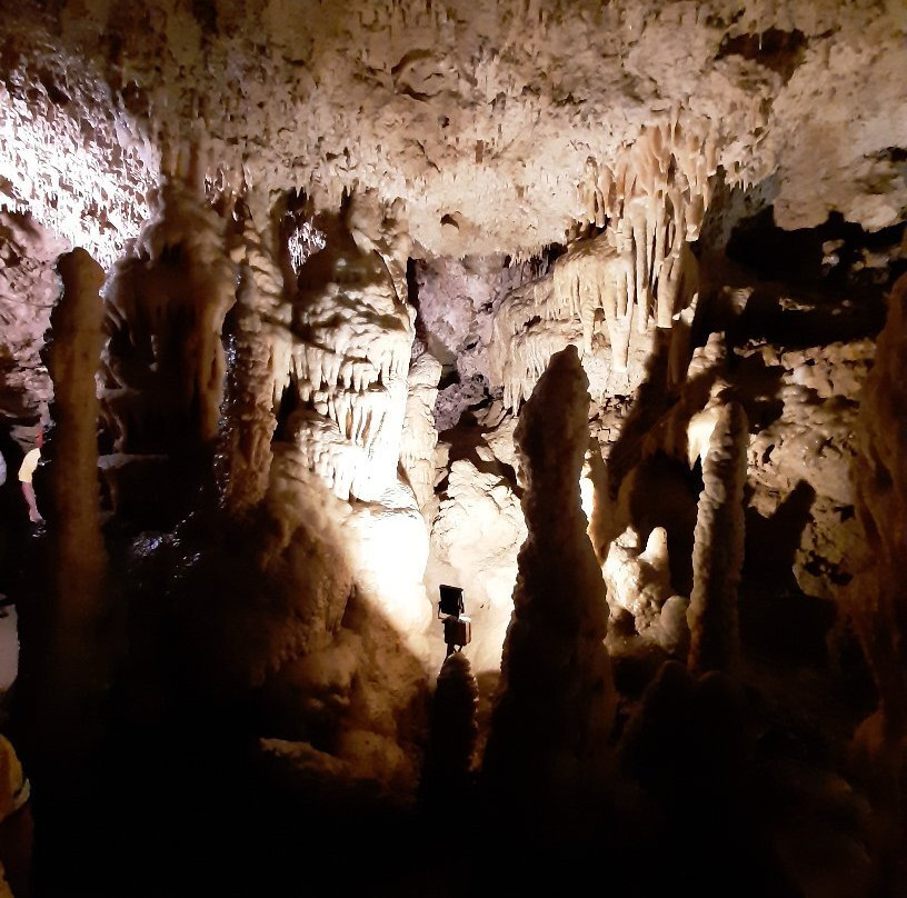 Grotte de Lastournelle景点图片