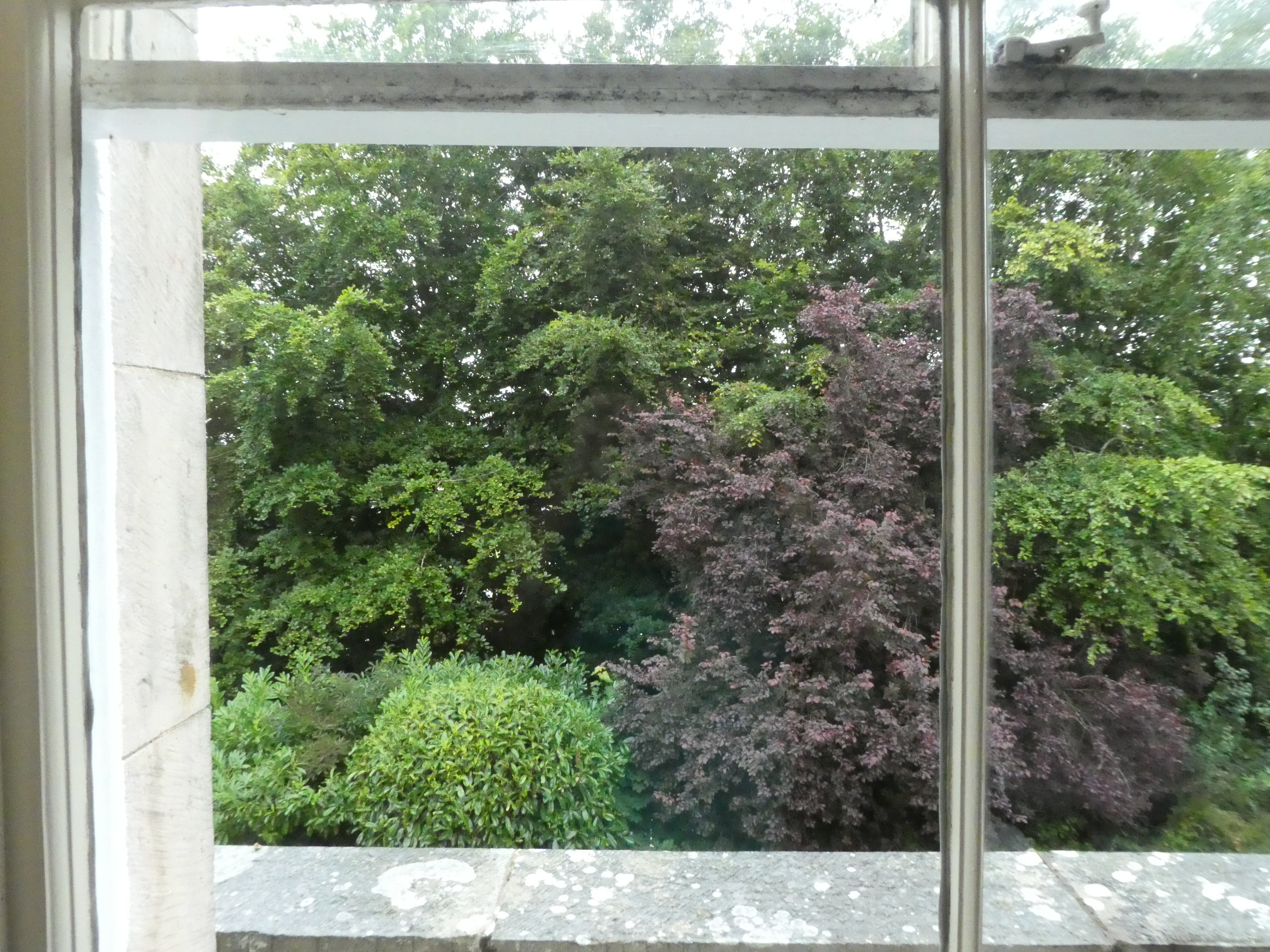 Woodlands Bed & Breakfast-酒店景观