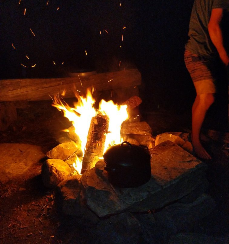 Driftwood Paddle Algonquin景点图片