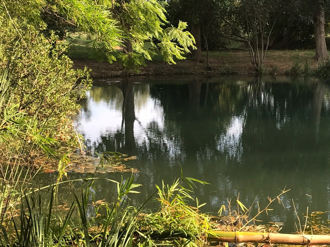 Aula Natura Marjal de Gandia景点图片