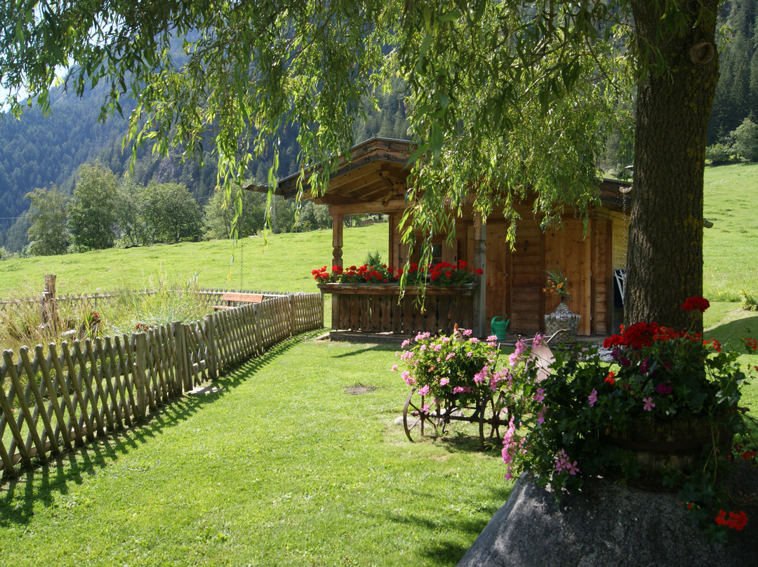 Pensione Graushof主图