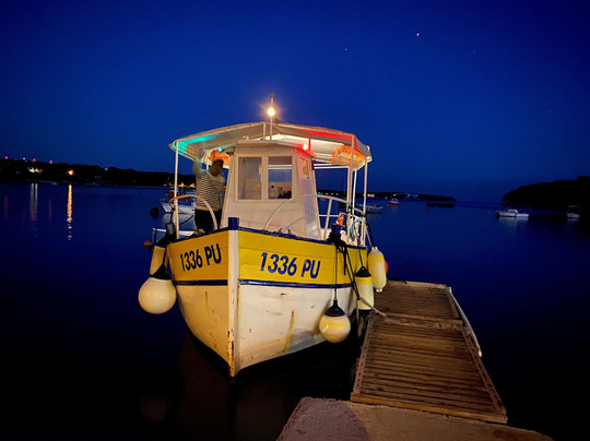 Pula Dolphin-普拉必去景点