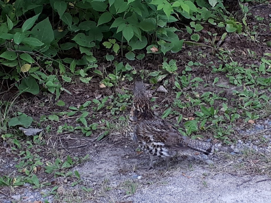 Halfway Lake Provincial Park-Sudbury必去景点