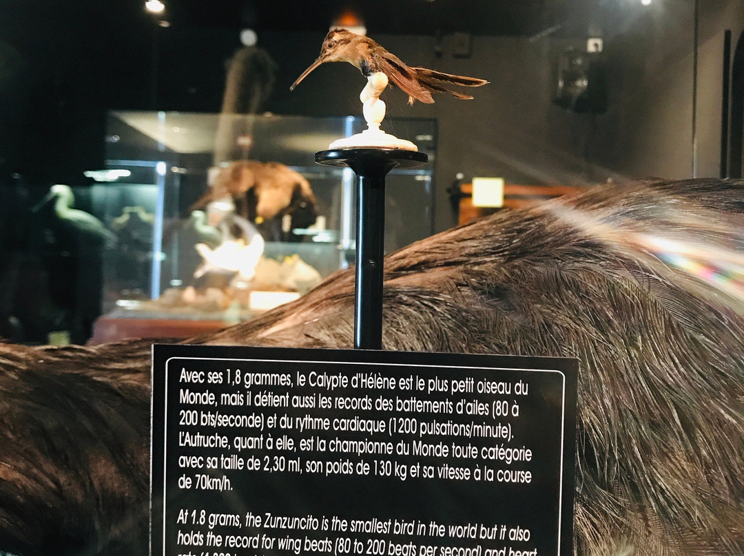 Ponthoile旅游攻略图片