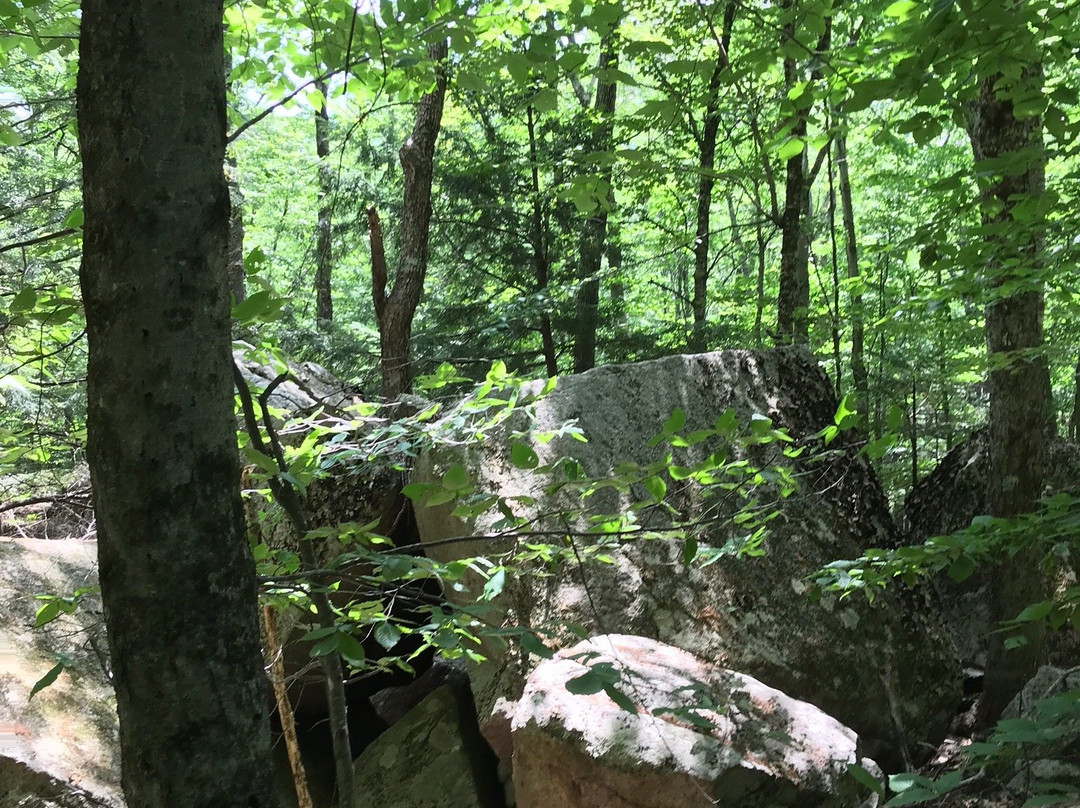 Boulder Loop Trailhead-Albany必去景点
