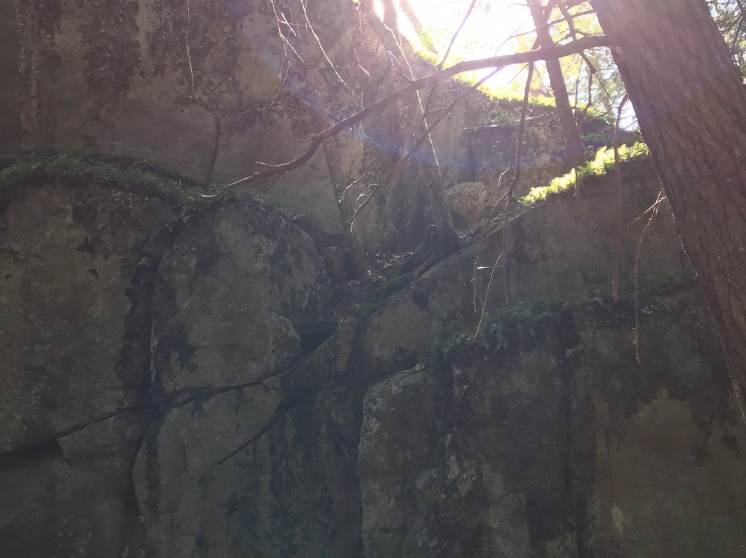 Boulder Loop Trailhead-Albany必去景点