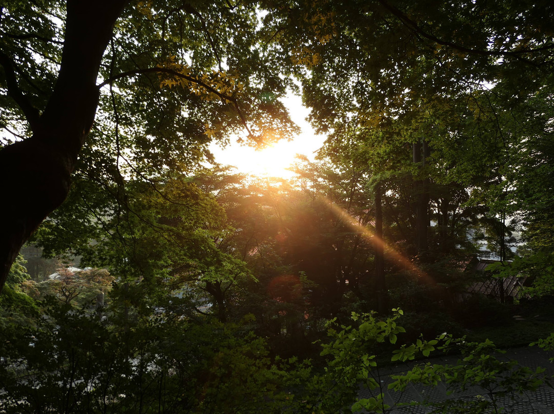 Hoshinomiya Iwasaku Shrine-日光市必去景点