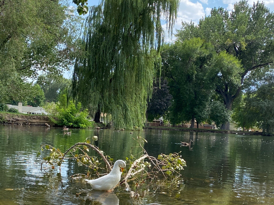 Bishop Dog Park-毕晓普必去景点