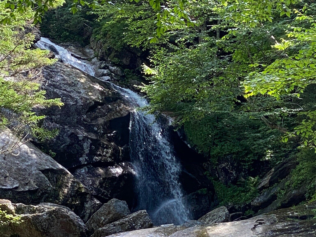 The Coppermine Trail and Bridal Veil Falls景点图片
