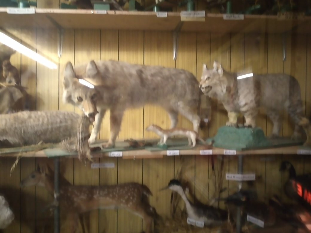 Strasbourg & District Museum-Strasbourg必去景点