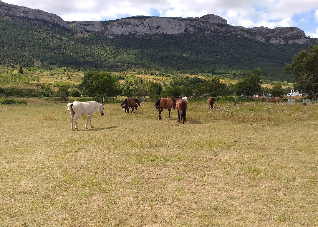 La Ferme Equestre de Rouffiac des Corbières景点图片