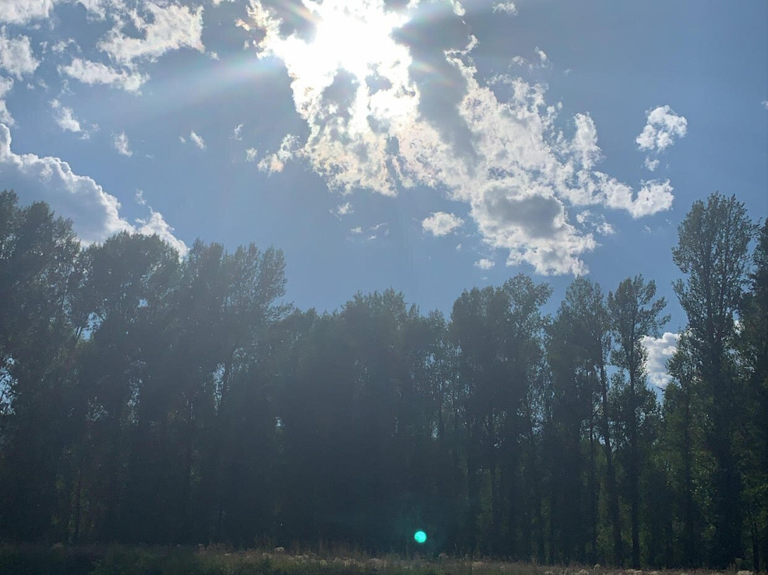 Jackson Hole Vintage Adventures-威尔逊必去景点