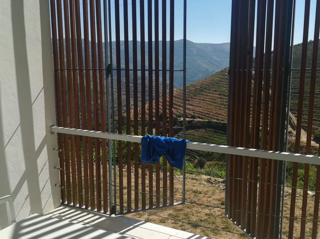 Quinta de Casaldronho Wine Hotel主图