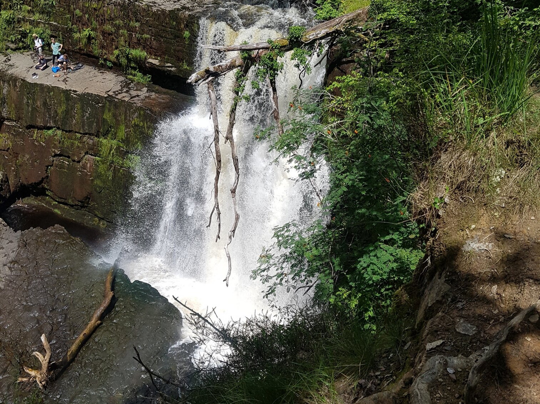 Four Falls Trail景点图片