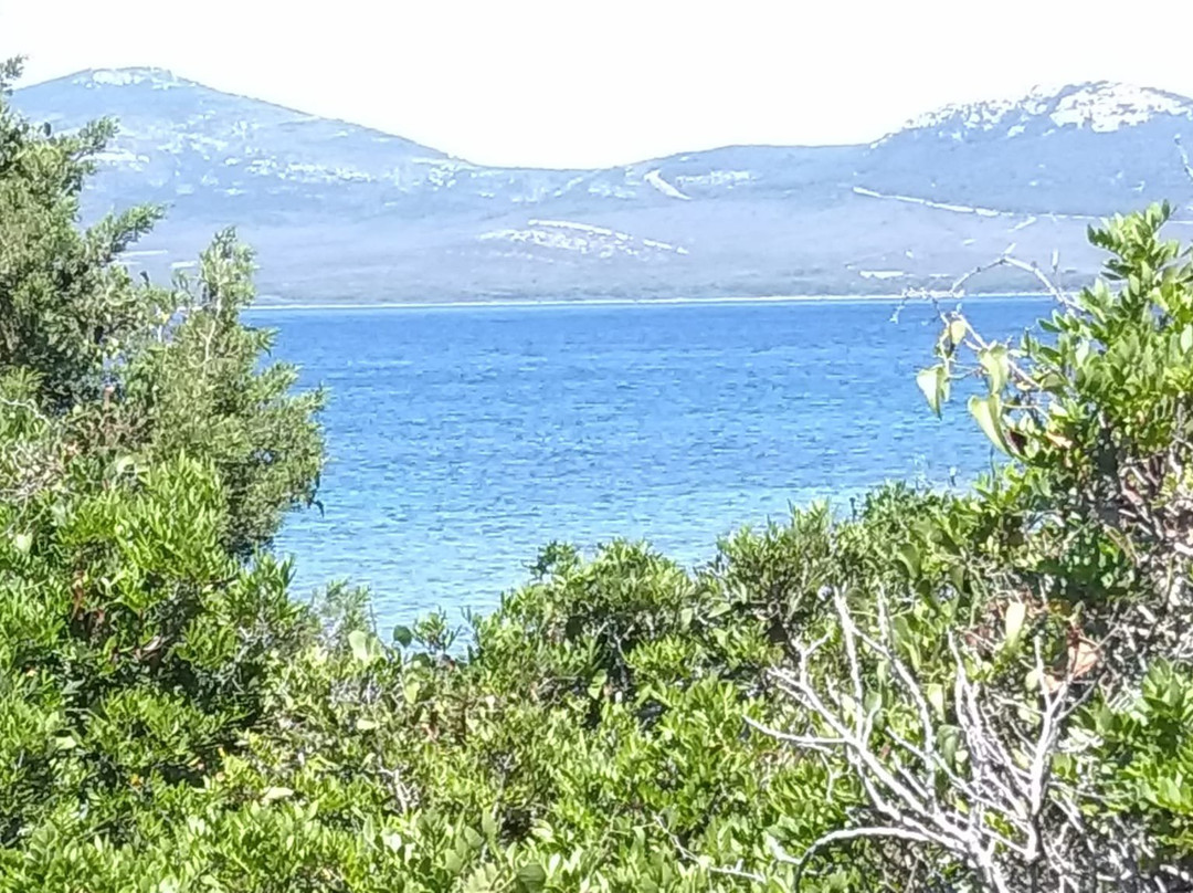 Spiaggia Di Tramariglio-Tramariglio必去景点