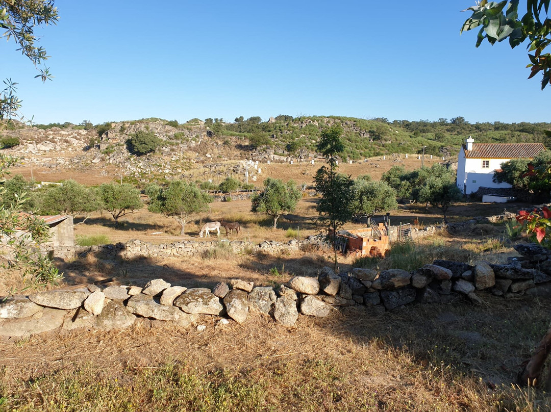 Campscape Beira Marvao Alentejo