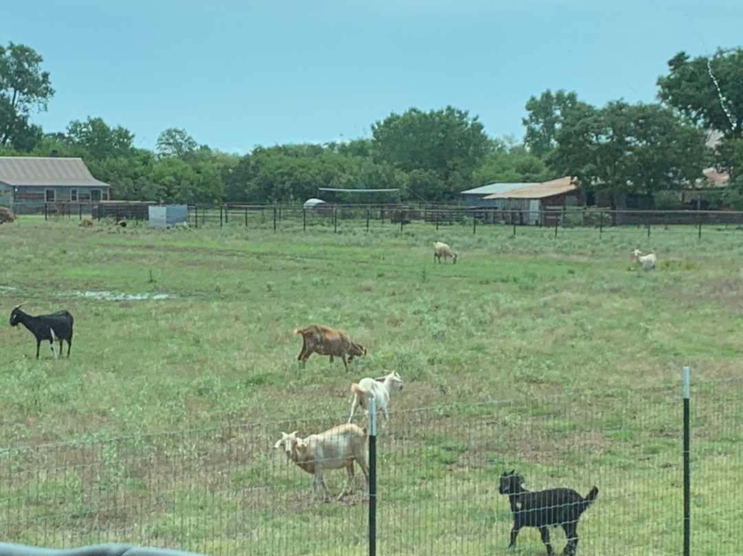 Horseshoe Bend Cellars Vineyard & Winery-Iowa Park必去景点