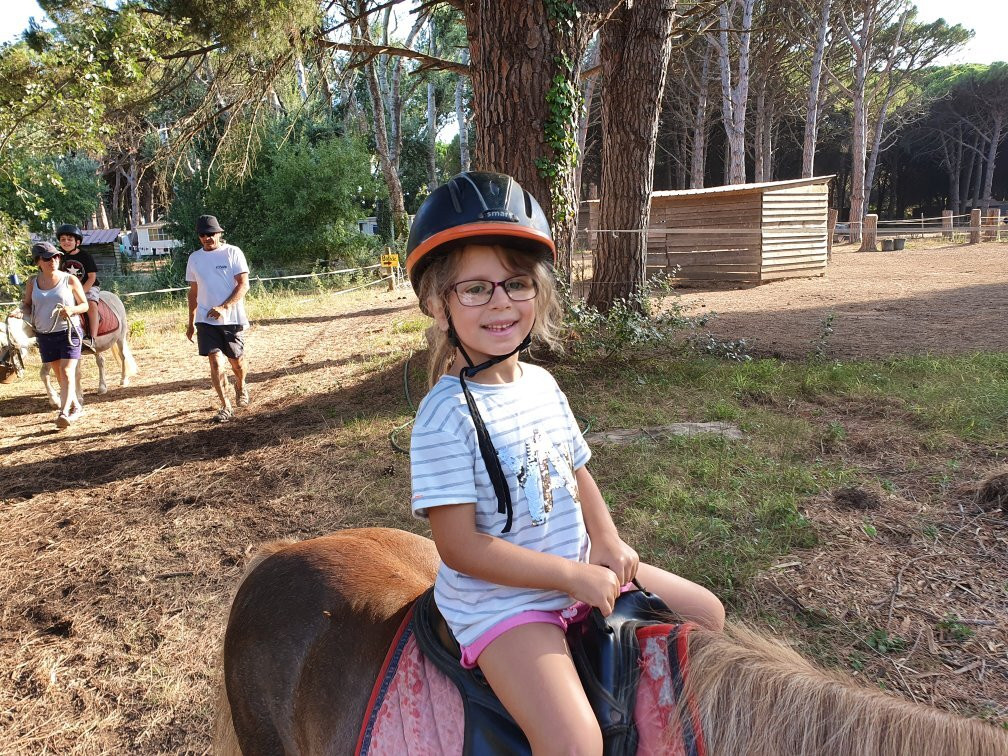 Les Poneys de Sophie景点图片