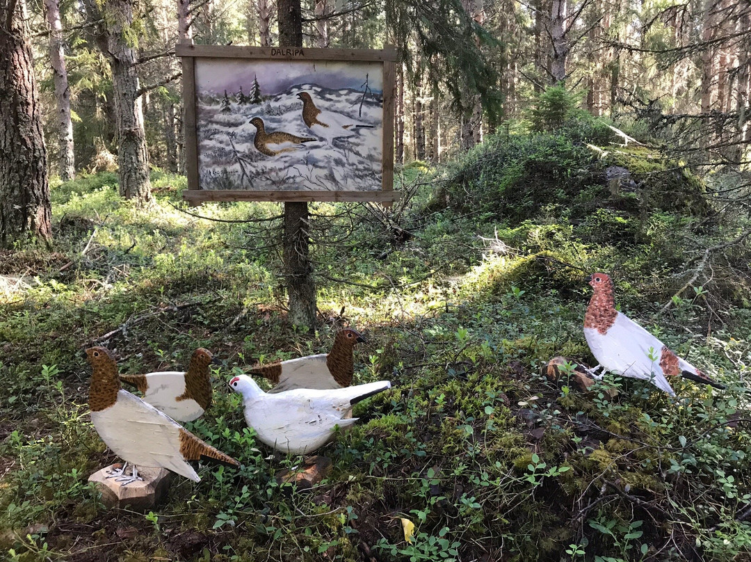 Bergö Nature Trail景点图片