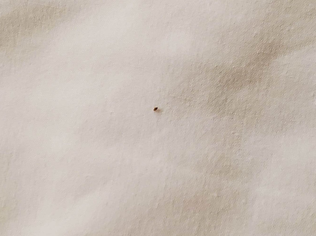 Microtel Inn & Suites by Wyndham Daphne/Mobile主图