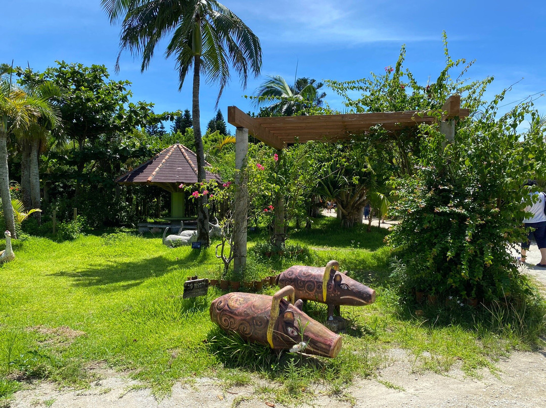 Subtropical Plant Paradise Yubujima Island景点图片
