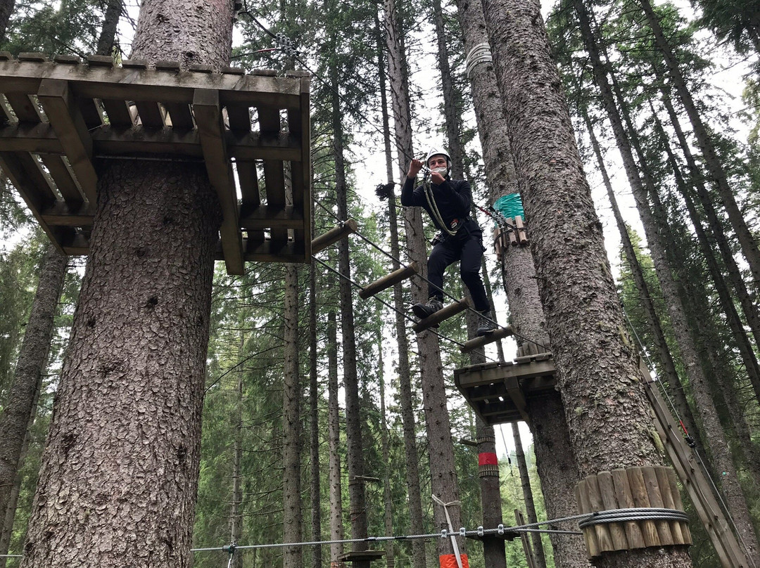 Agility Forest San Martino di Castrozza景点图片