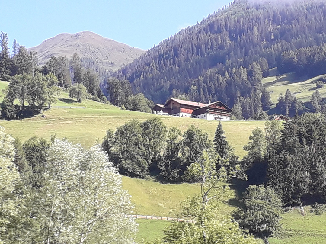 Lodnerhof
