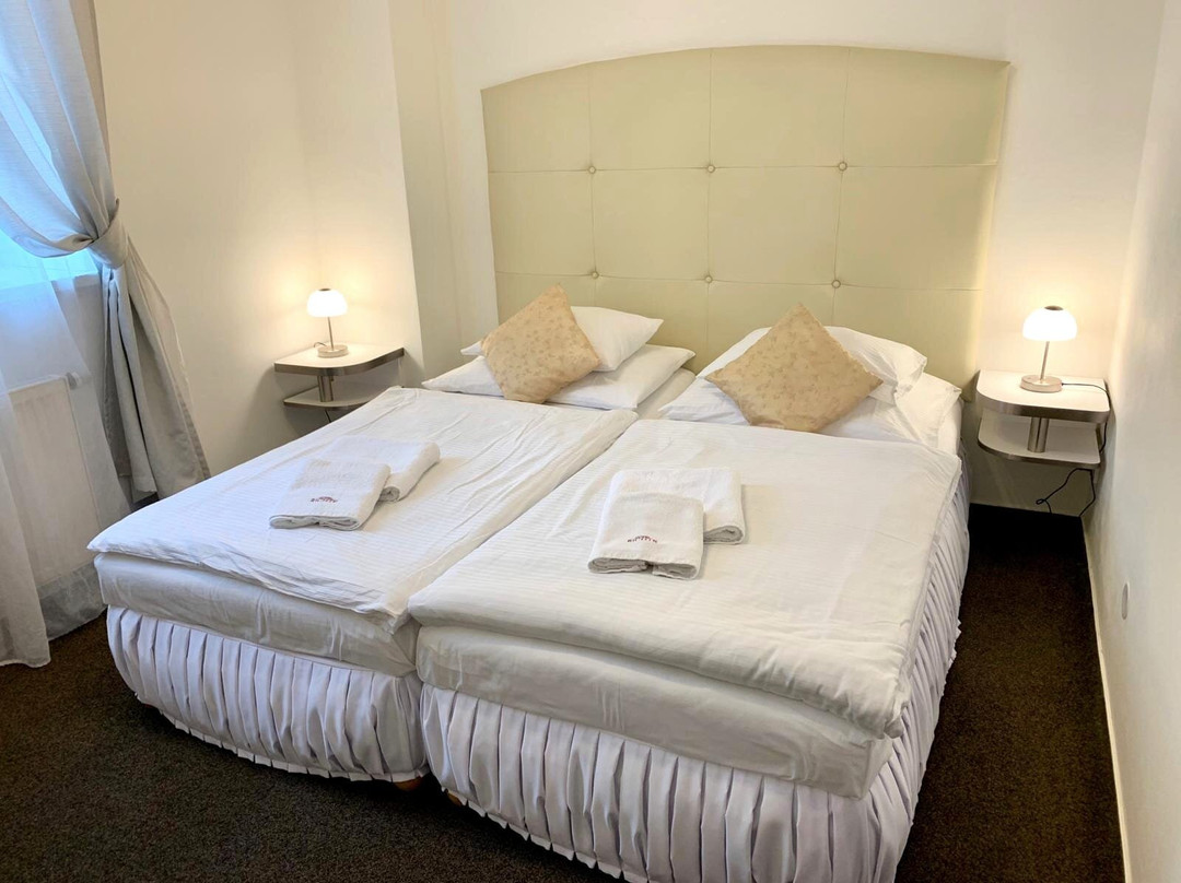 Hotel Richtr主图