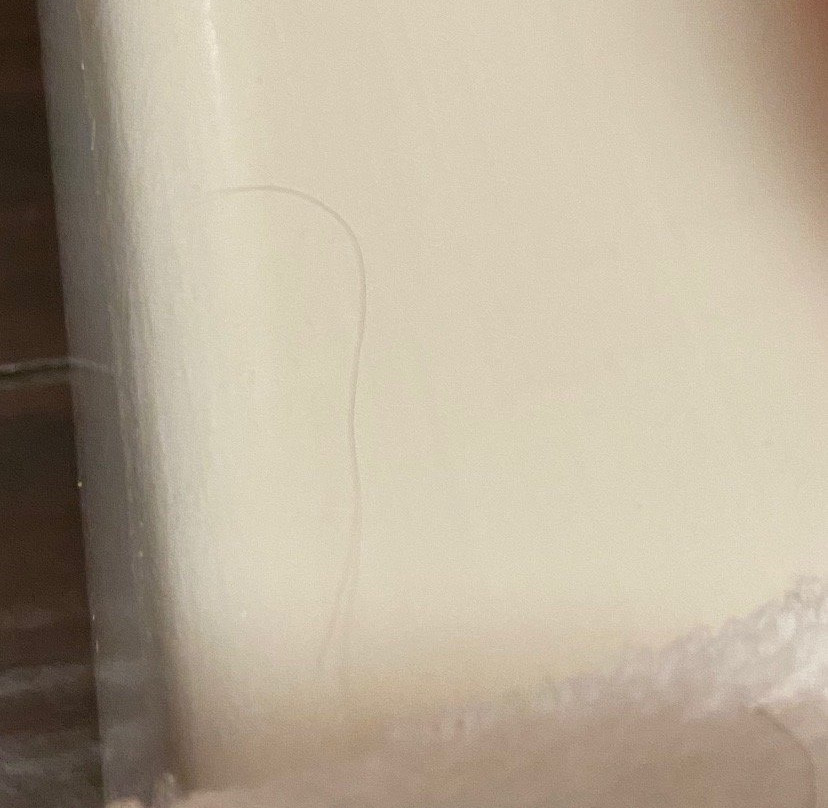 Baymont by Wyndham Moss Point主图