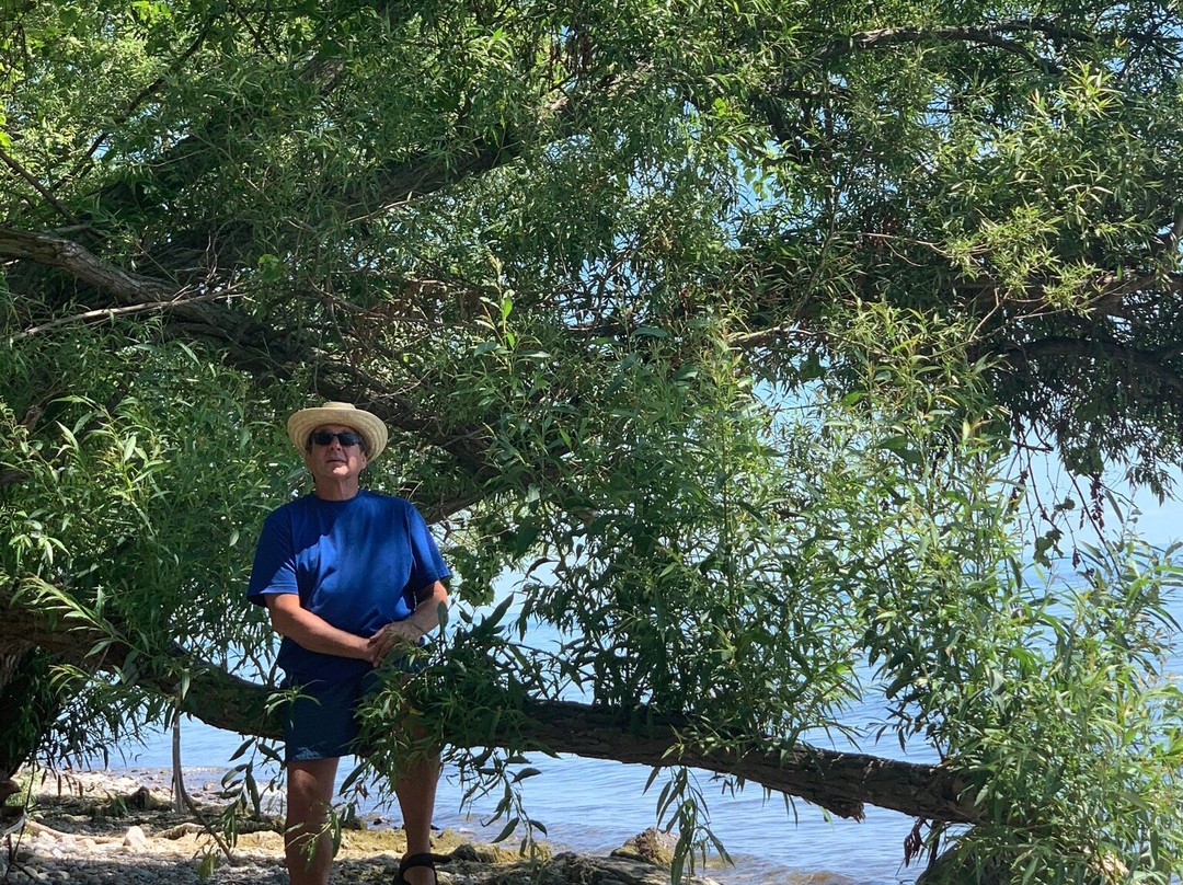 Rock Point Provincial Park-Dunnville必去景点